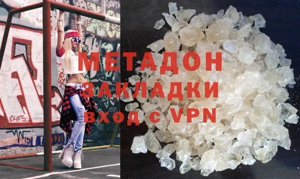 прущие грибы Аркадак