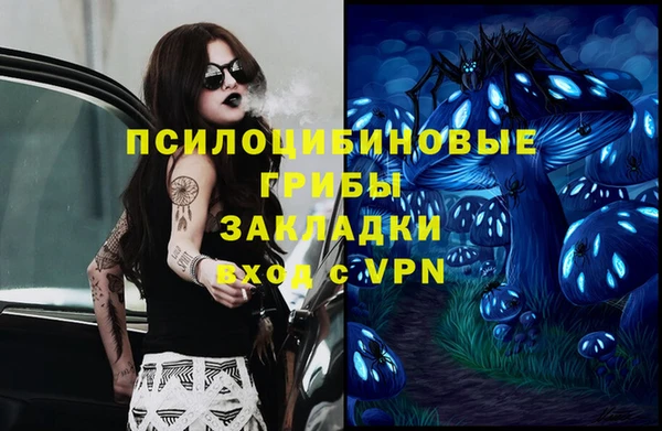 гашик Армянск