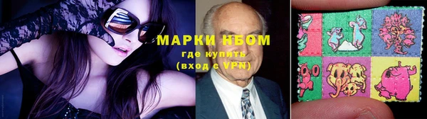 прущие грибы Аркадак