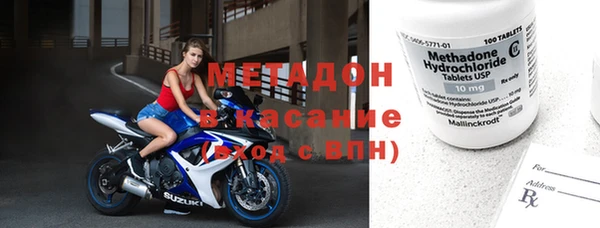 прущие грибы Аркадак