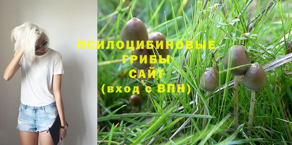 гашик Армянск