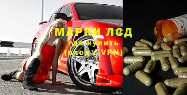 прущие грибы Аркадак