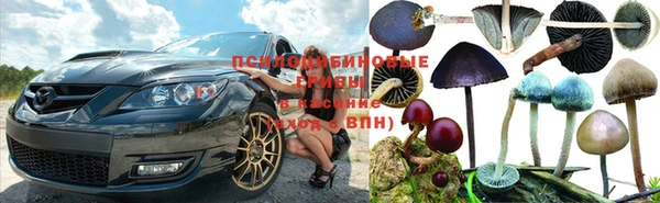 бутират Арсеньев