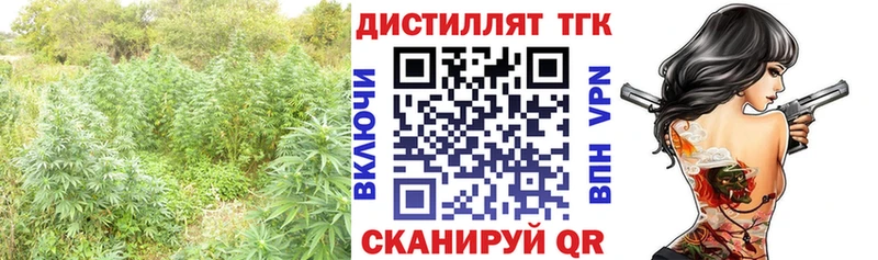 OMG tor  Нововоронеж  ТГК Wax  как найти закладки 