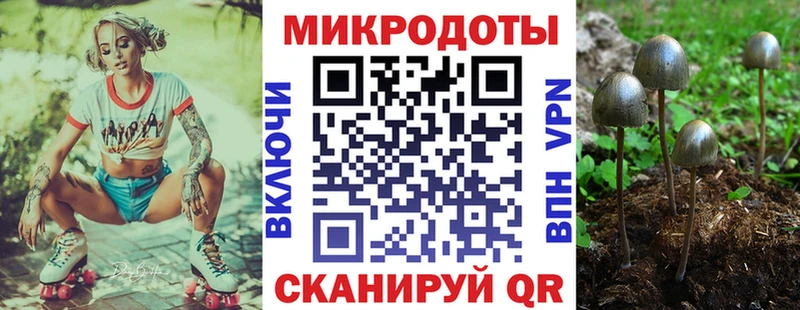 Псилоцибиновые грибы мицелий  omg зеркало  Нововоронеж 