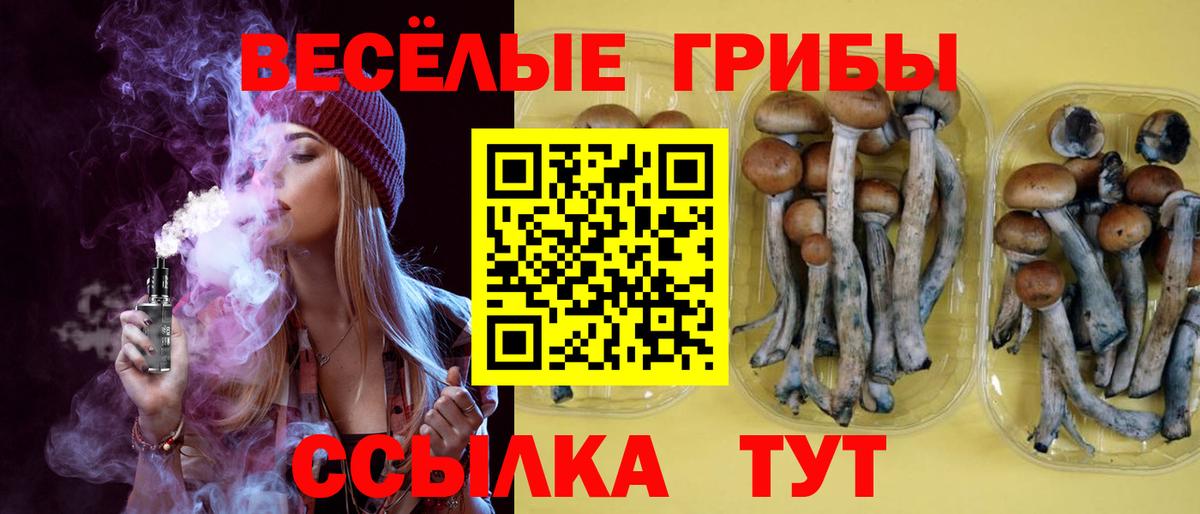 Галлюциногенные грибы GOLDEN TEACHER Нововоронеж